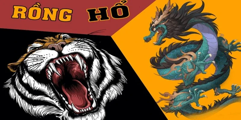 Tổng quan về rồng hổ top